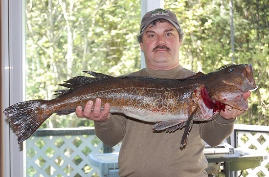 may 1st lingcod 2013 007rrr.jpg may 1st lingcod 2013 007rrr.jpg